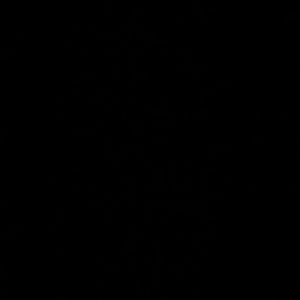 Meet your Posher, Albert